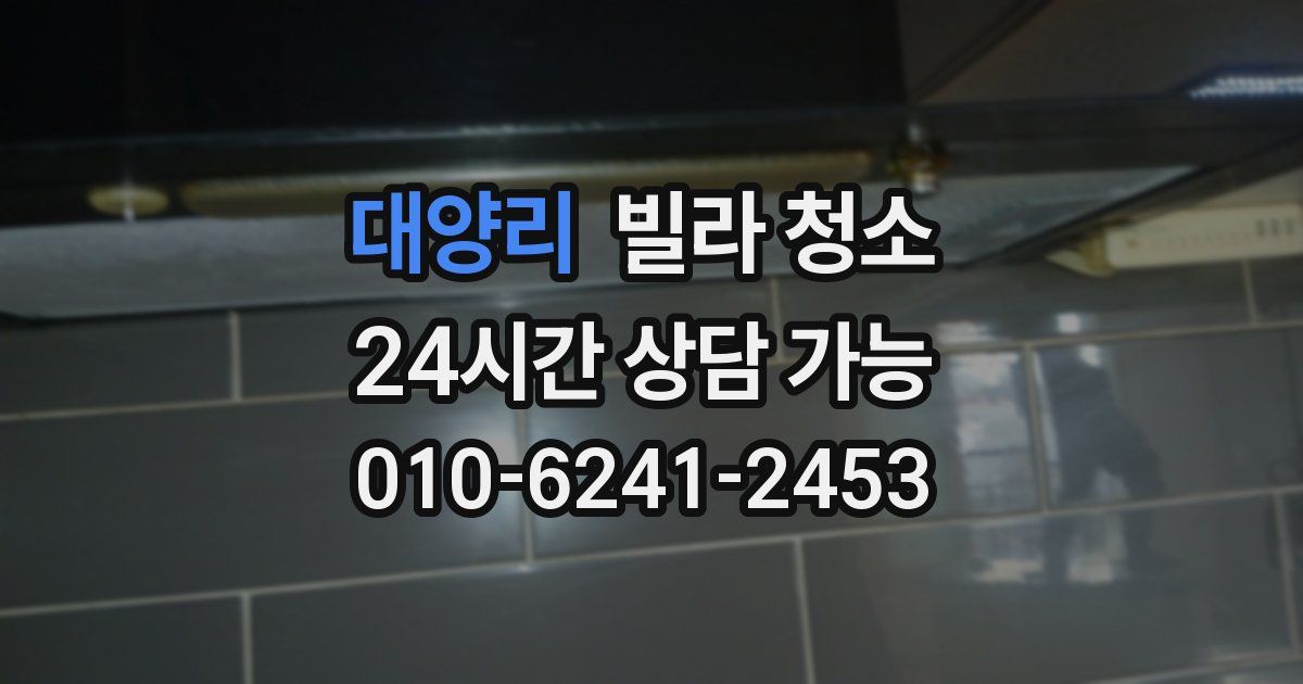 대양리 빌라 청소