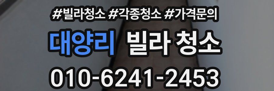 대양리 빌라 청소