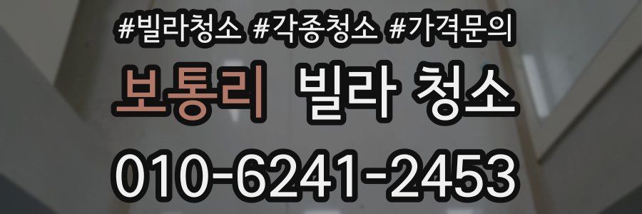 보통리 빌라 청소