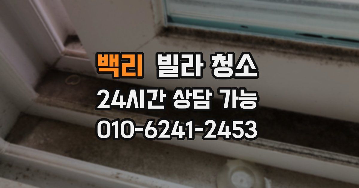 백리 빌라 청소