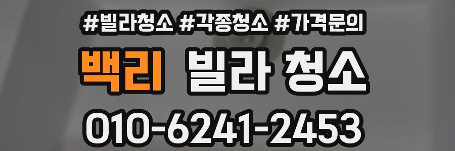 백리 빌라 청소