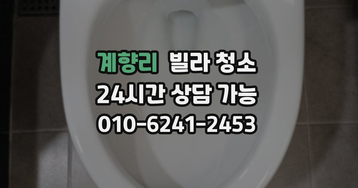 계향리 빌라 청소