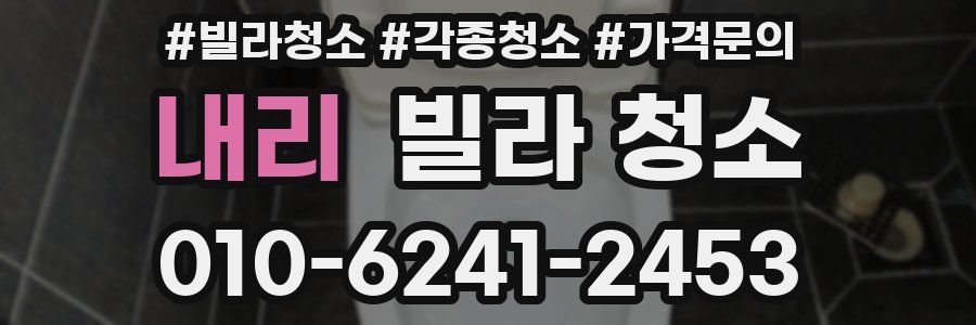 내리 빌라 청소