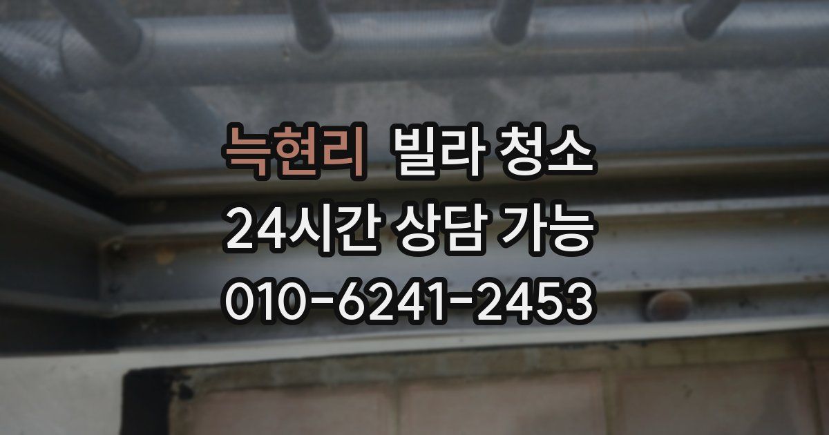 늑현리 빌라 청소