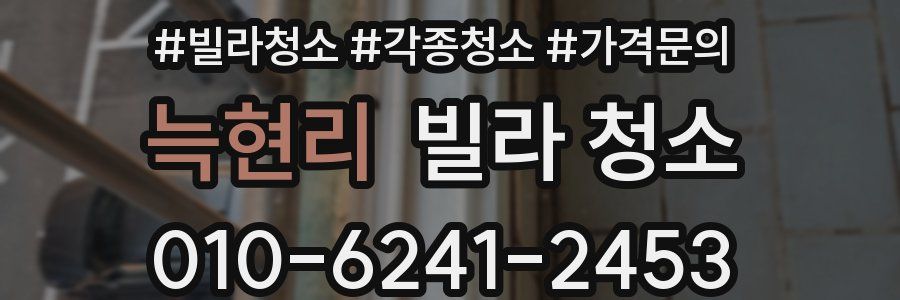 늑현리 빌라 청소