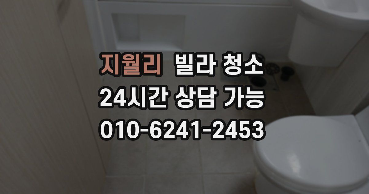 지월리 빌라 청소