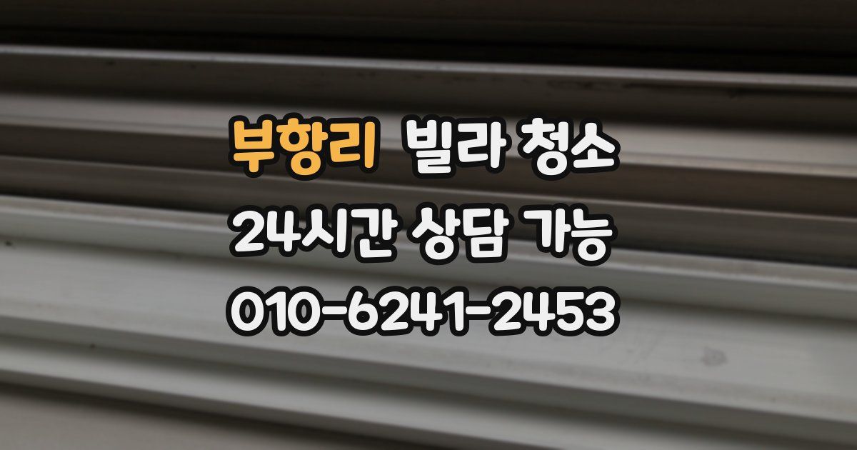 부항리 빌라 청소