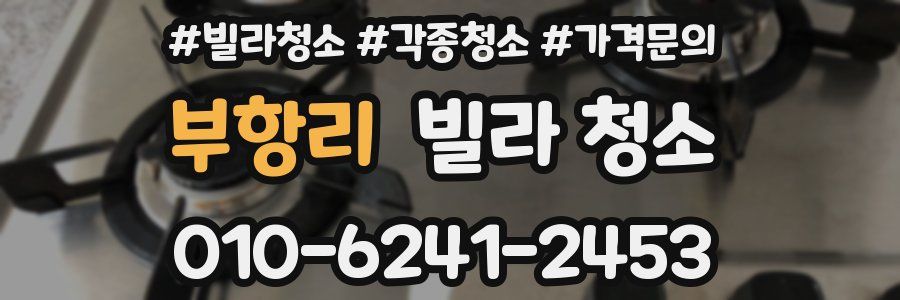 부항리 빌라 청소