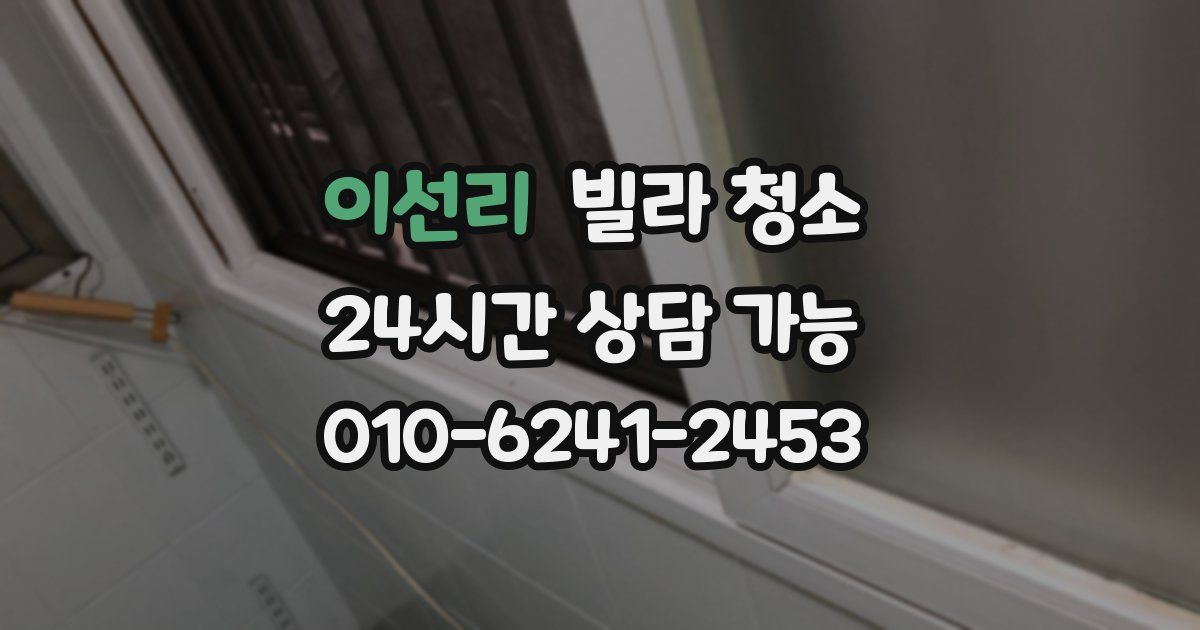 이선리 빌라 청소