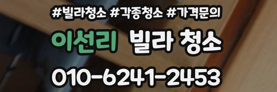 이선리 빌라 청소