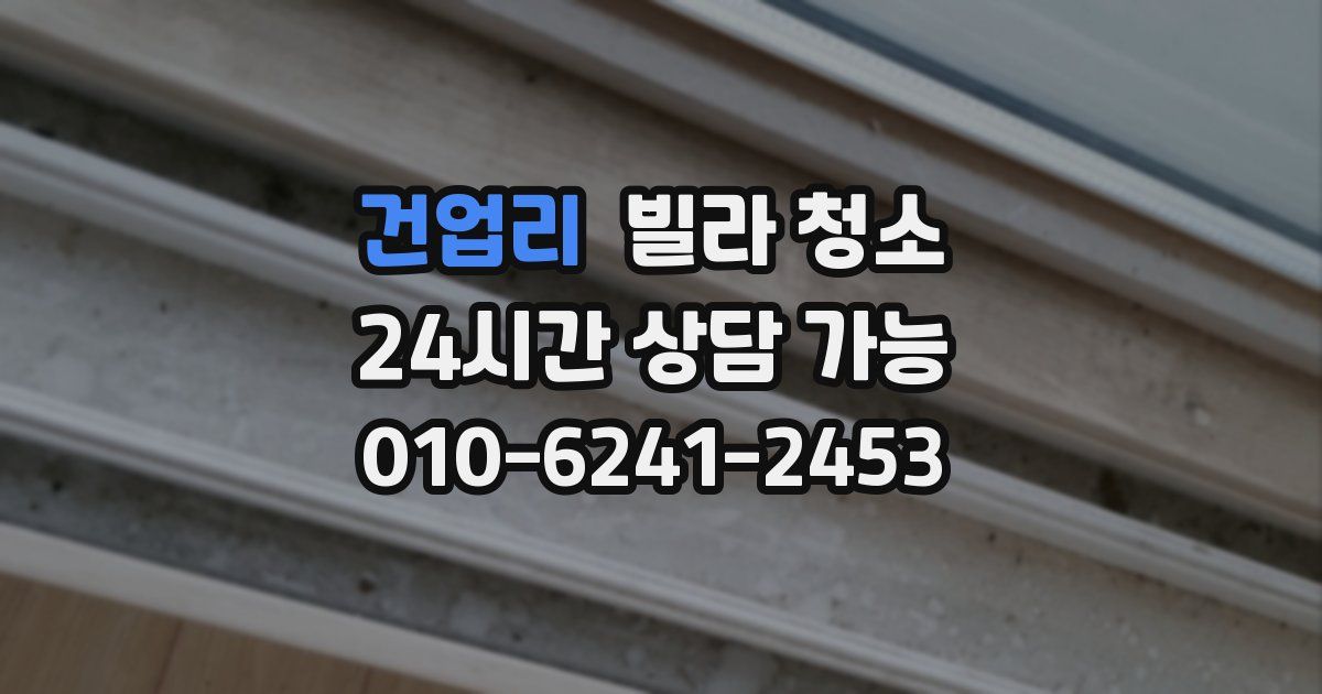 건업리 빌라 청소