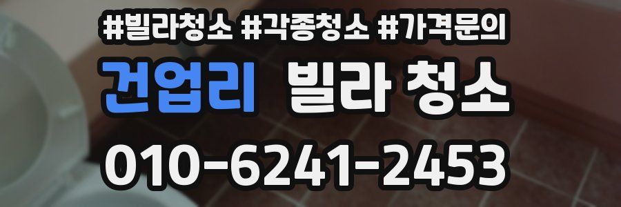 건업리 빌라 청소