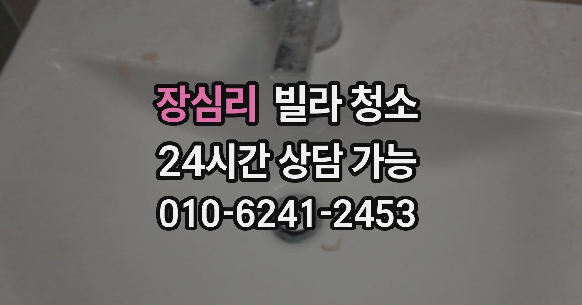 장심리 빌라 청소