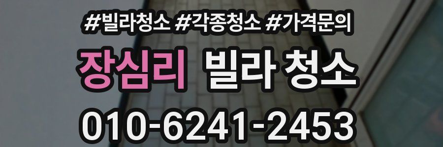 장심리 빌라 청소