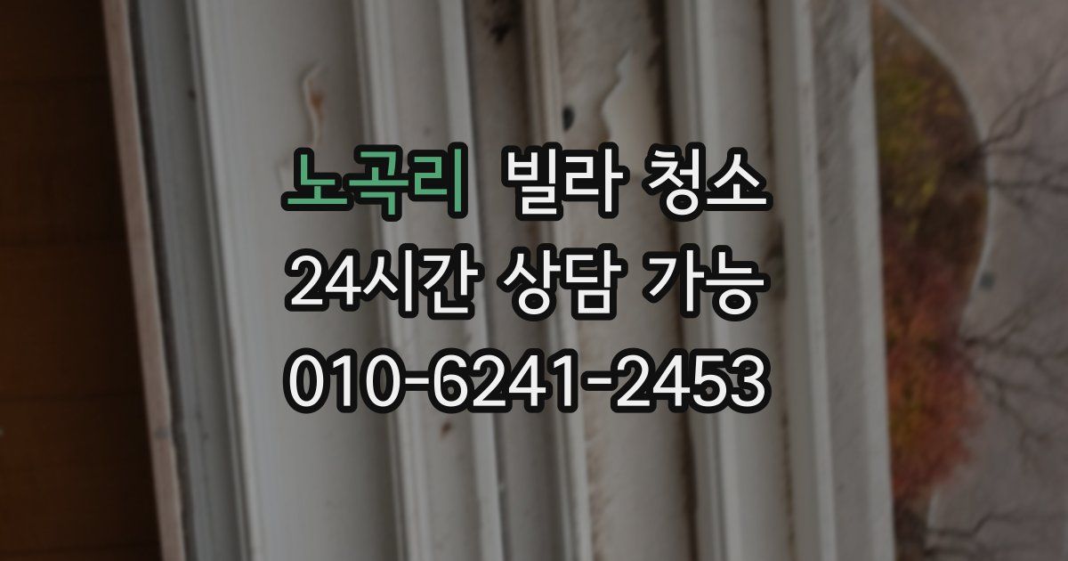 노곡리 빌라 청소