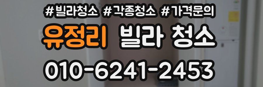 유정리 빌라 청소