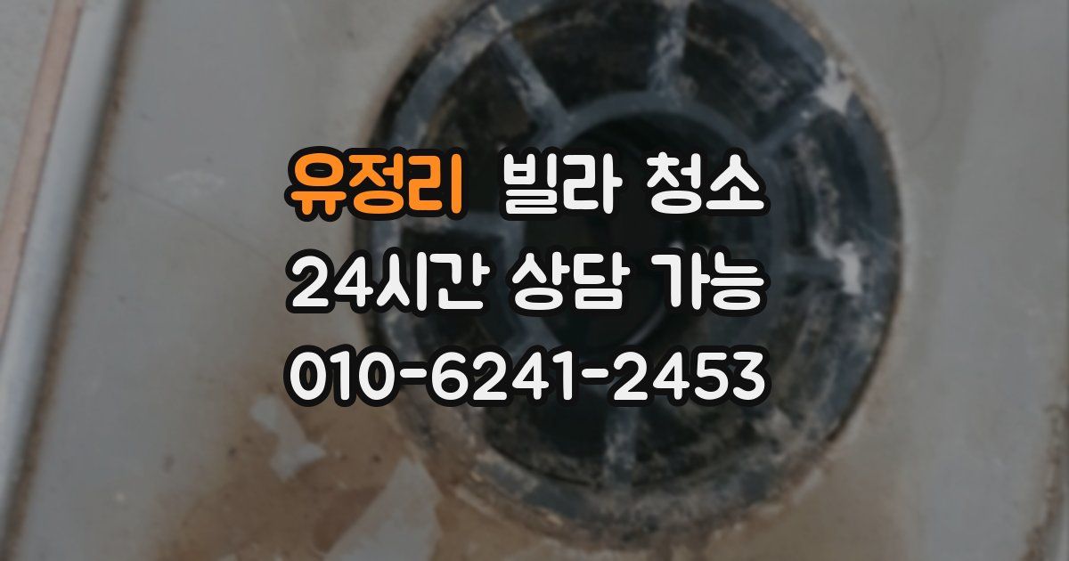 유정리 빌라 청소