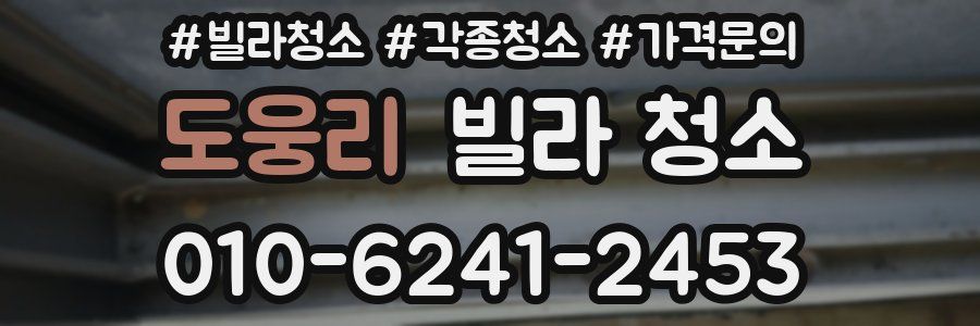 도웅리 빌라 청소