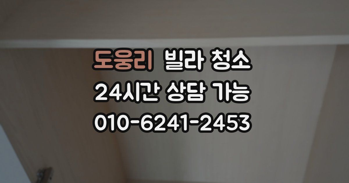 도웅리 빌라 청소