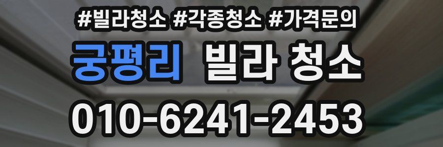 궁평리 빌라 청소