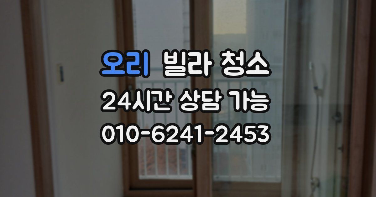 오리 빌라 청소