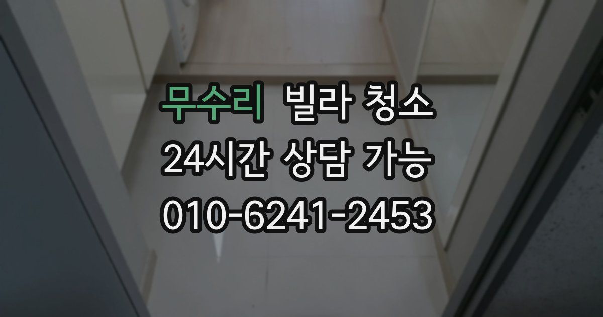 무수리 빌라 청소