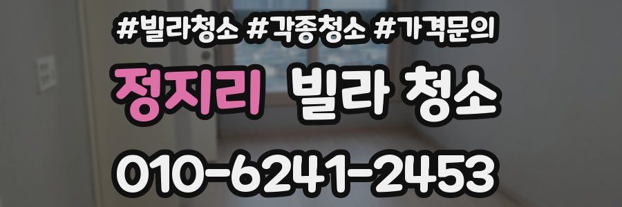 정지리 빌라 청소