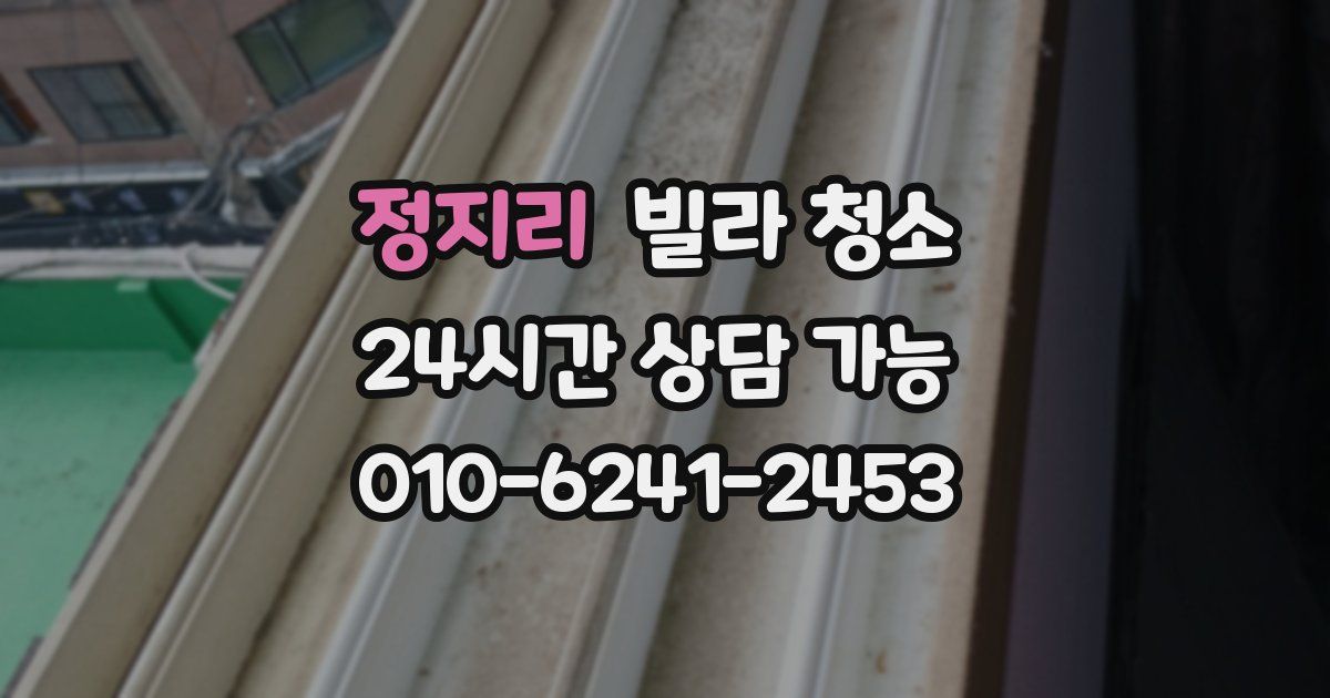 정지리 빌라 청소