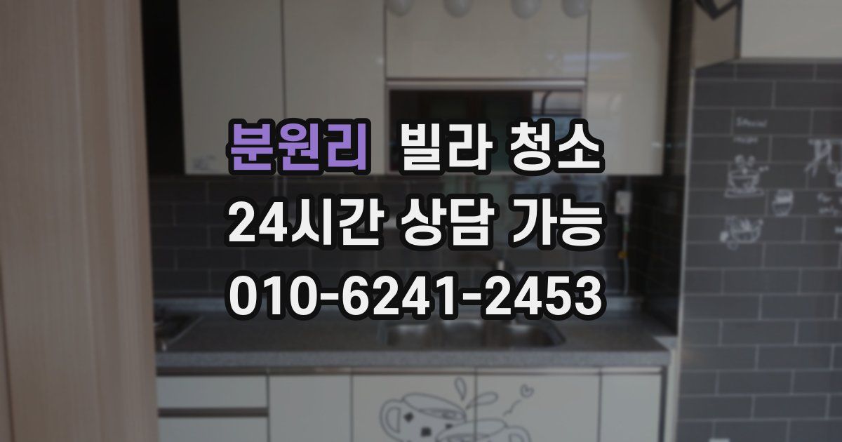 분원리 빌라 청소