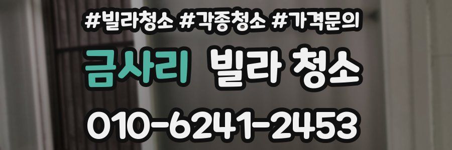 금사리 빌라 청소