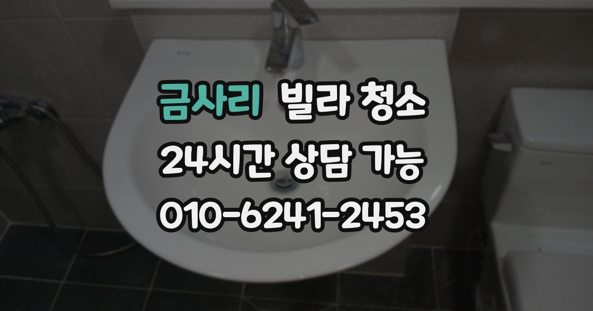 금사리 빌라 청소