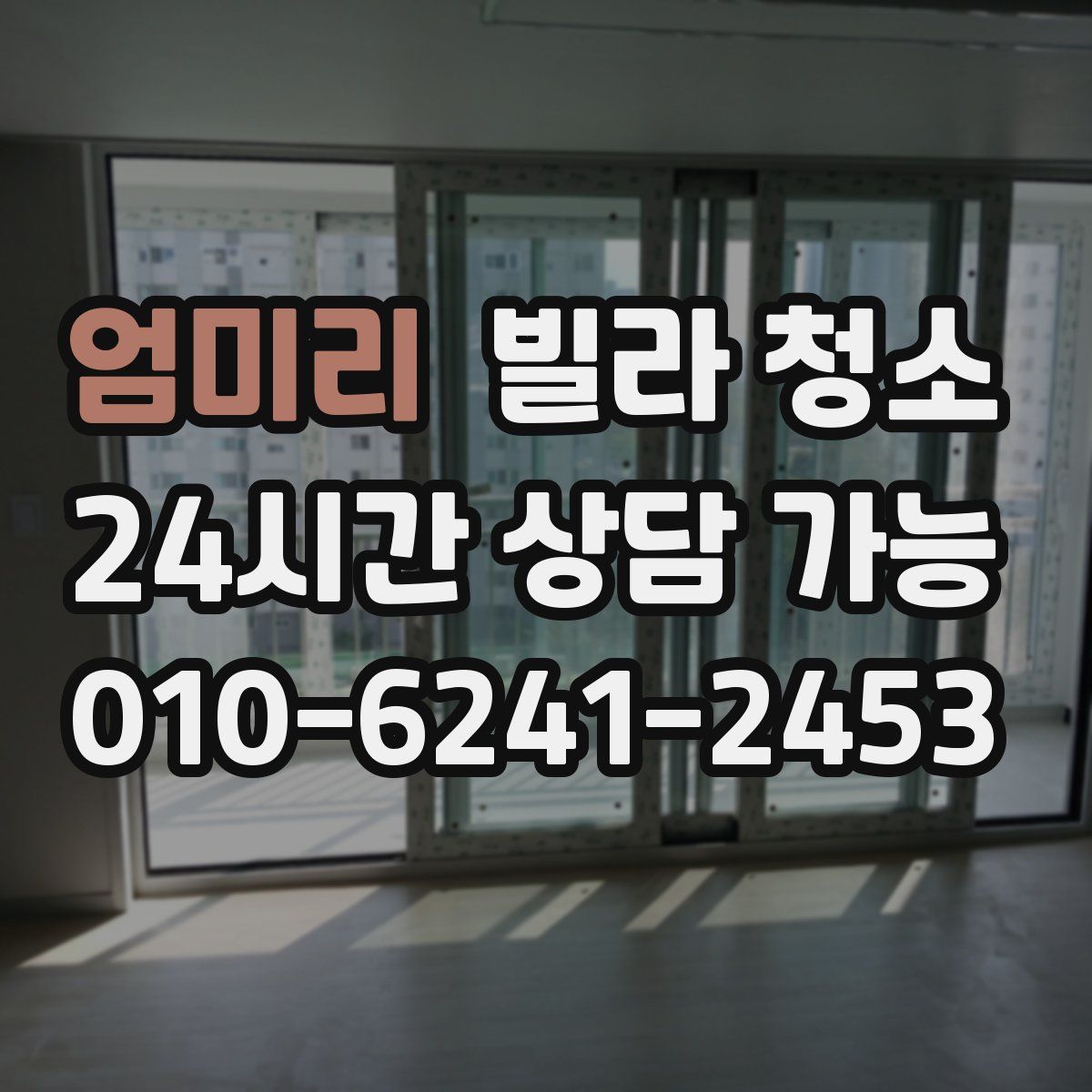 엄미리 빌라 청소