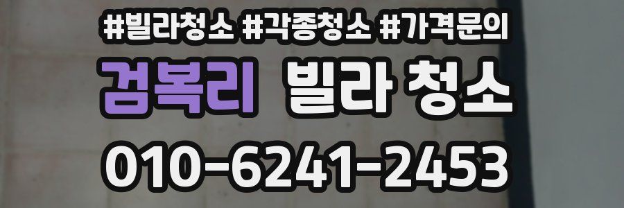 검복리 빌라 청소