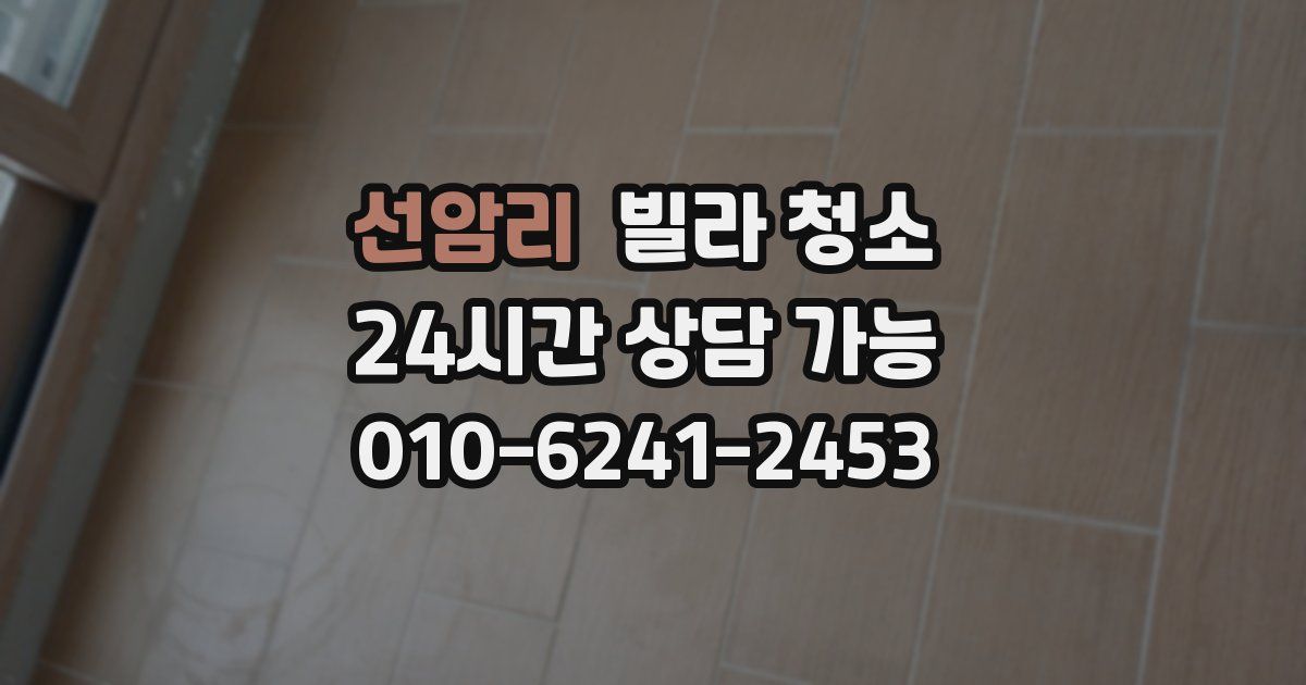 선암리 빌라 청소