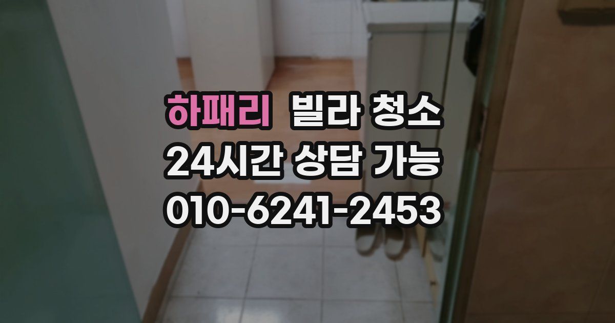 하패리 빌라 청소