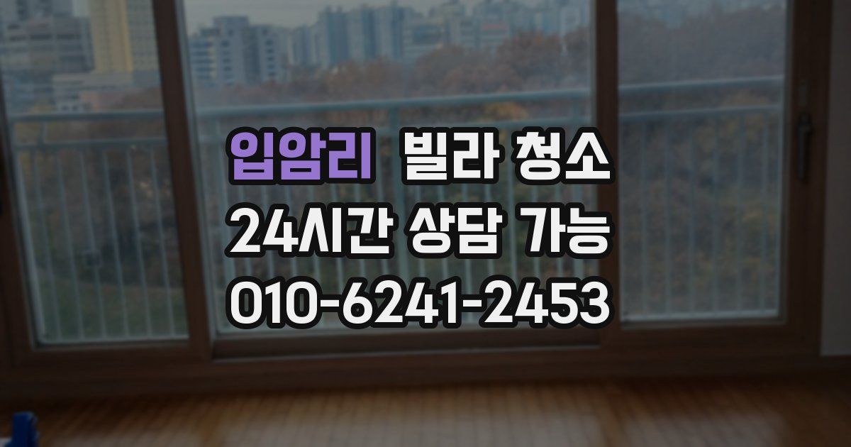 입암리 빌라 청소