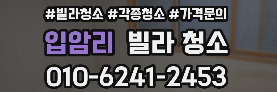 입암리 빌라 청소