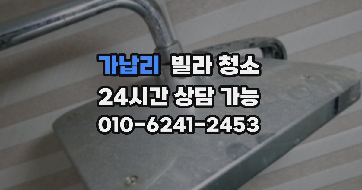 가납리 빌라 청소