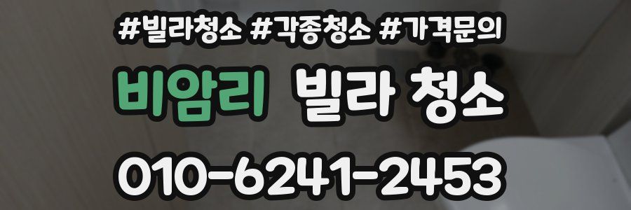 비암리 빌라 청소