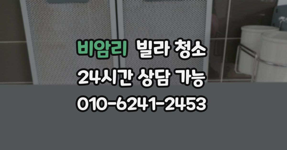 비암리 빌라 청소