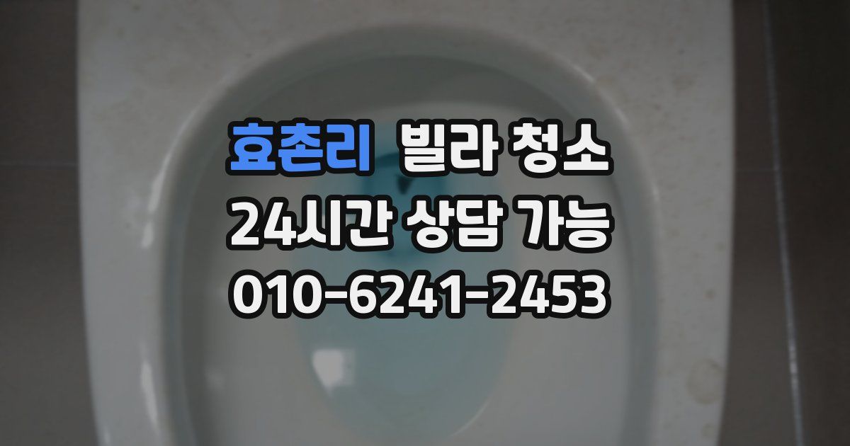 효촌리 빌라 청소