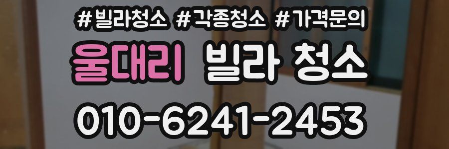 울대리 빌라 청소