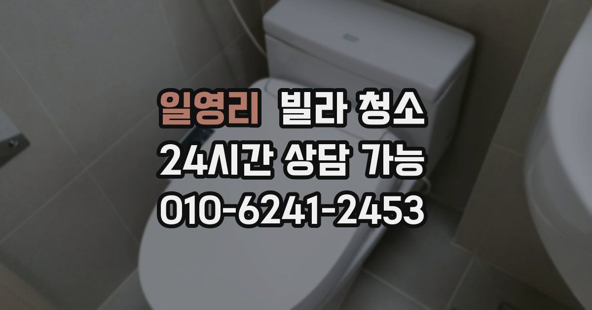 일영리 빌라 청소