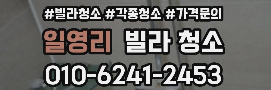 일영리 빌라 청소