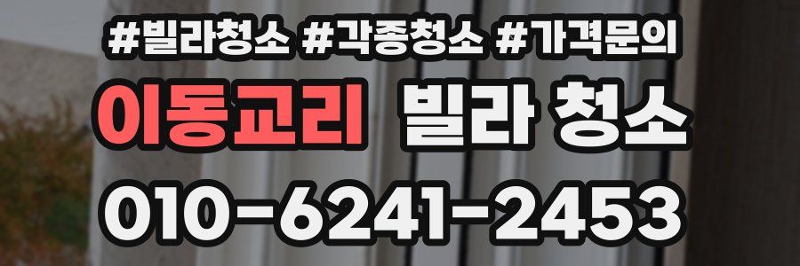 이동교리 빌라 청소