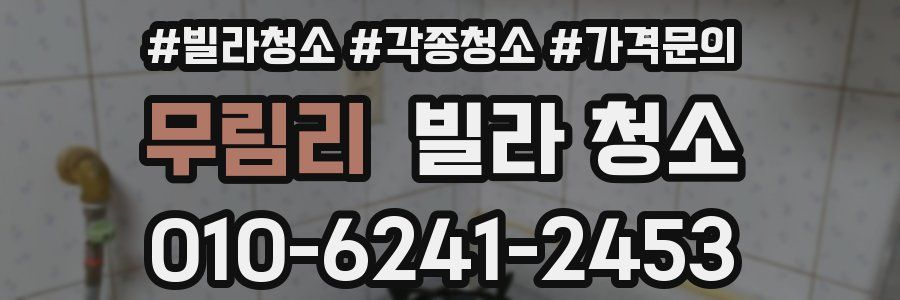 무림리 빌라 청소