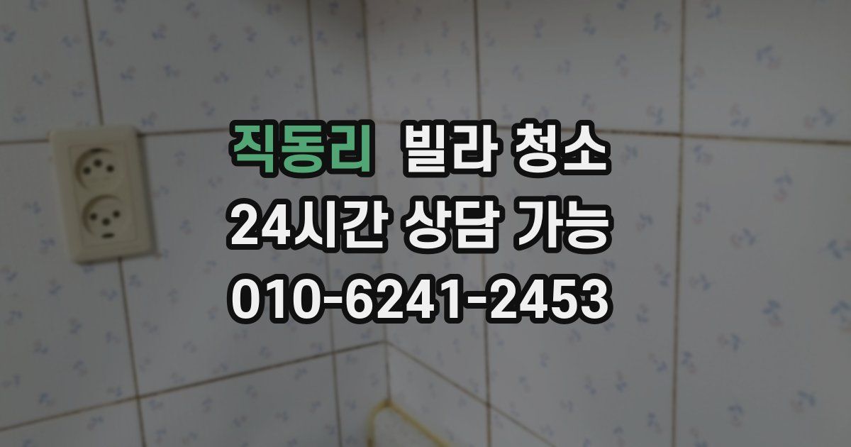 직동리 빌라 청소