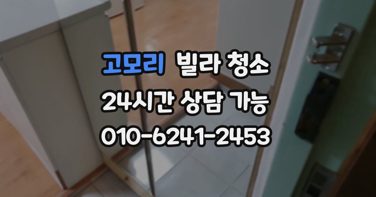 고모리 빌라 청소