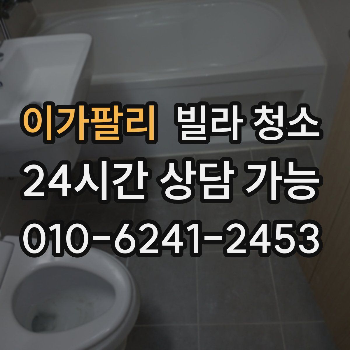 이가팔리 빌라 청소