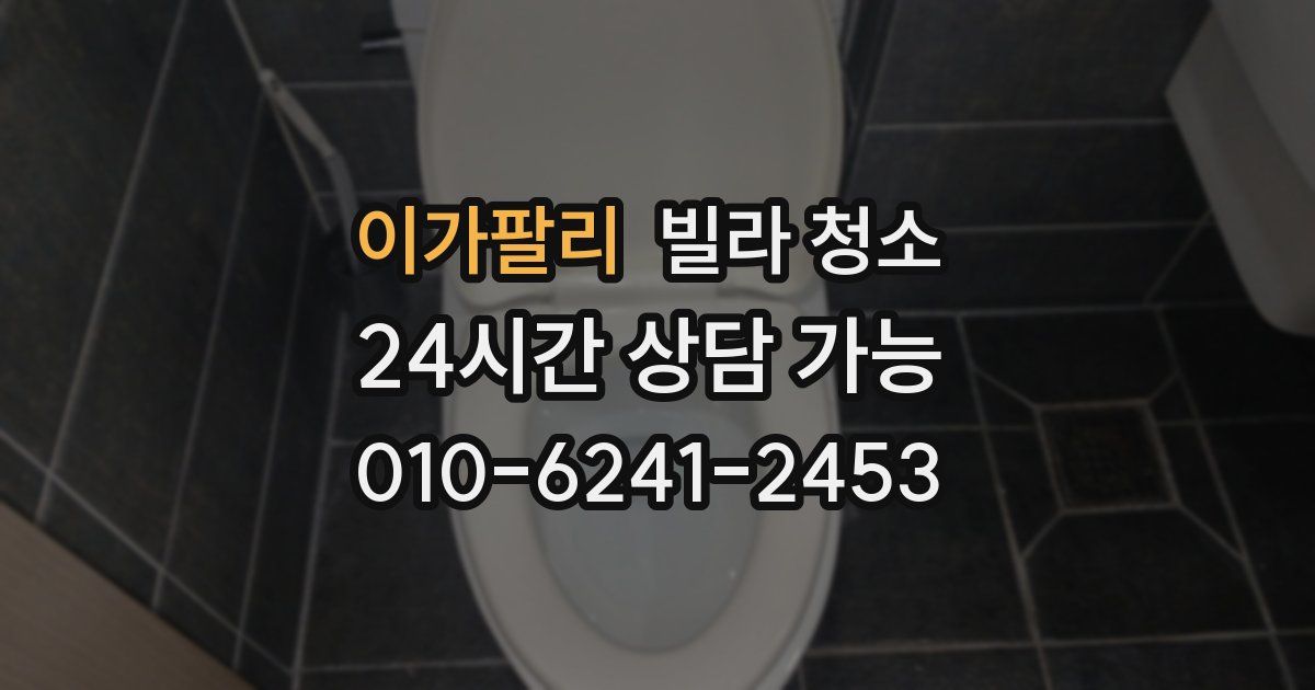 이가팔리 빌라 청소